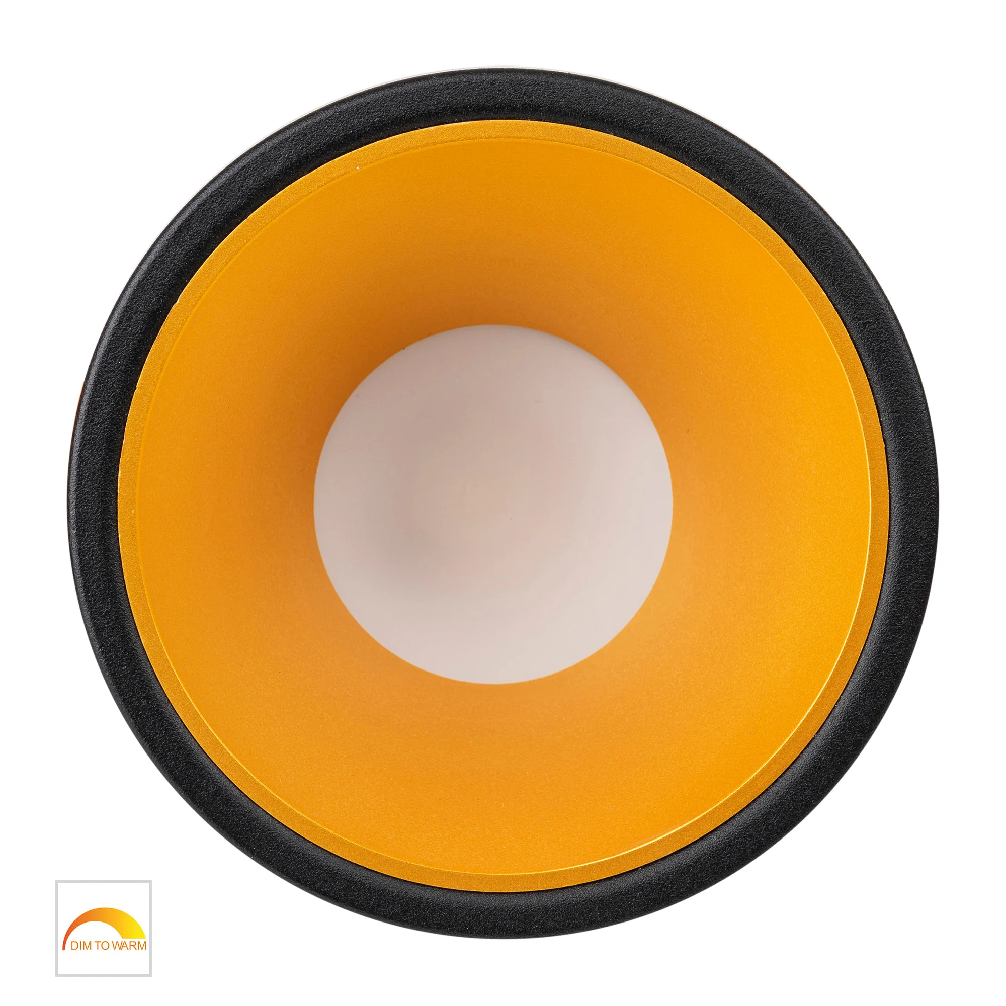 HV5528D2W-BG - Gleam Black with Gold Insert Fixed Dim to Warm LED Downlight - Image 4