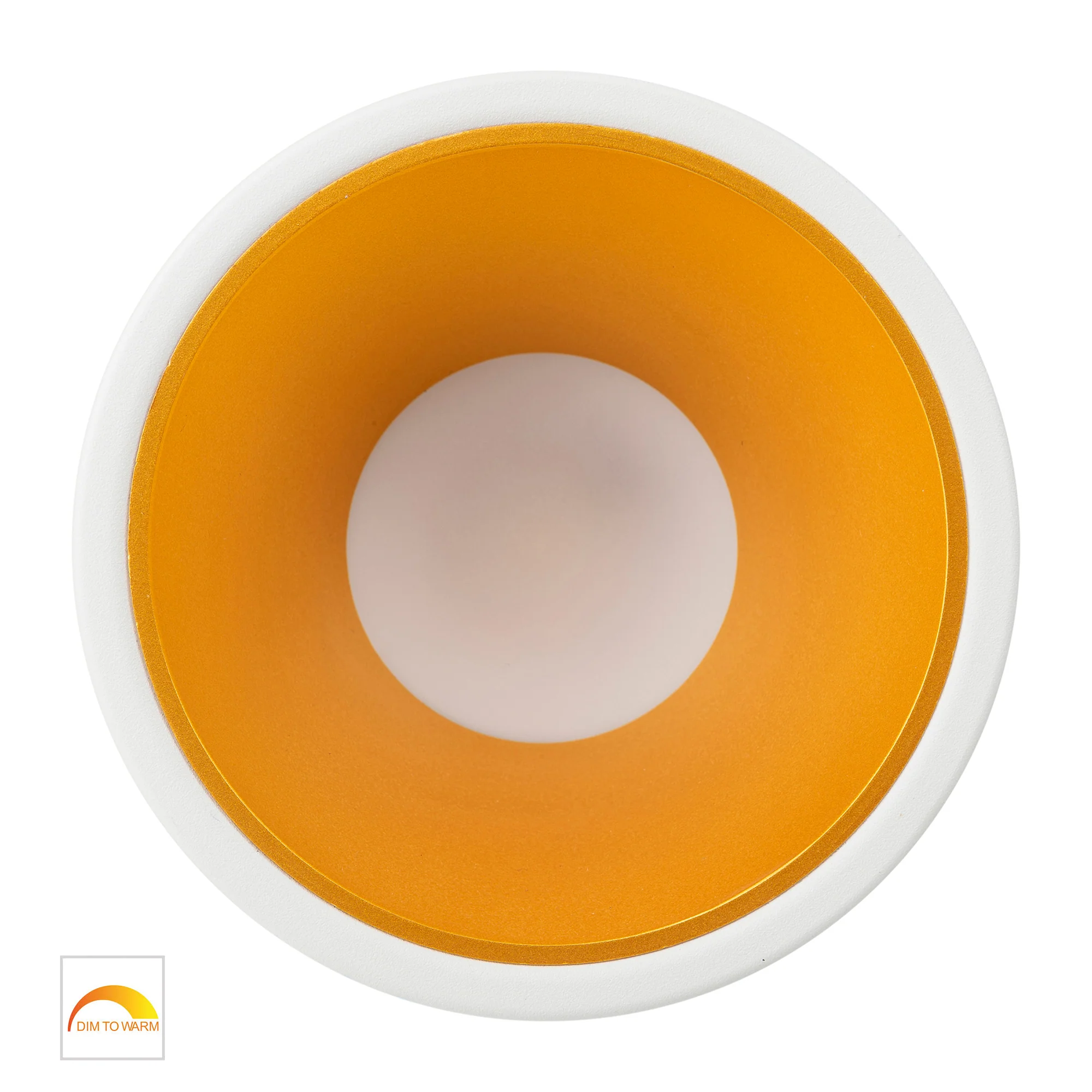 HV5528D2W-WG - Gleam White with Gold Insert Fixed Dim to Warm LED Downlight - Image 4