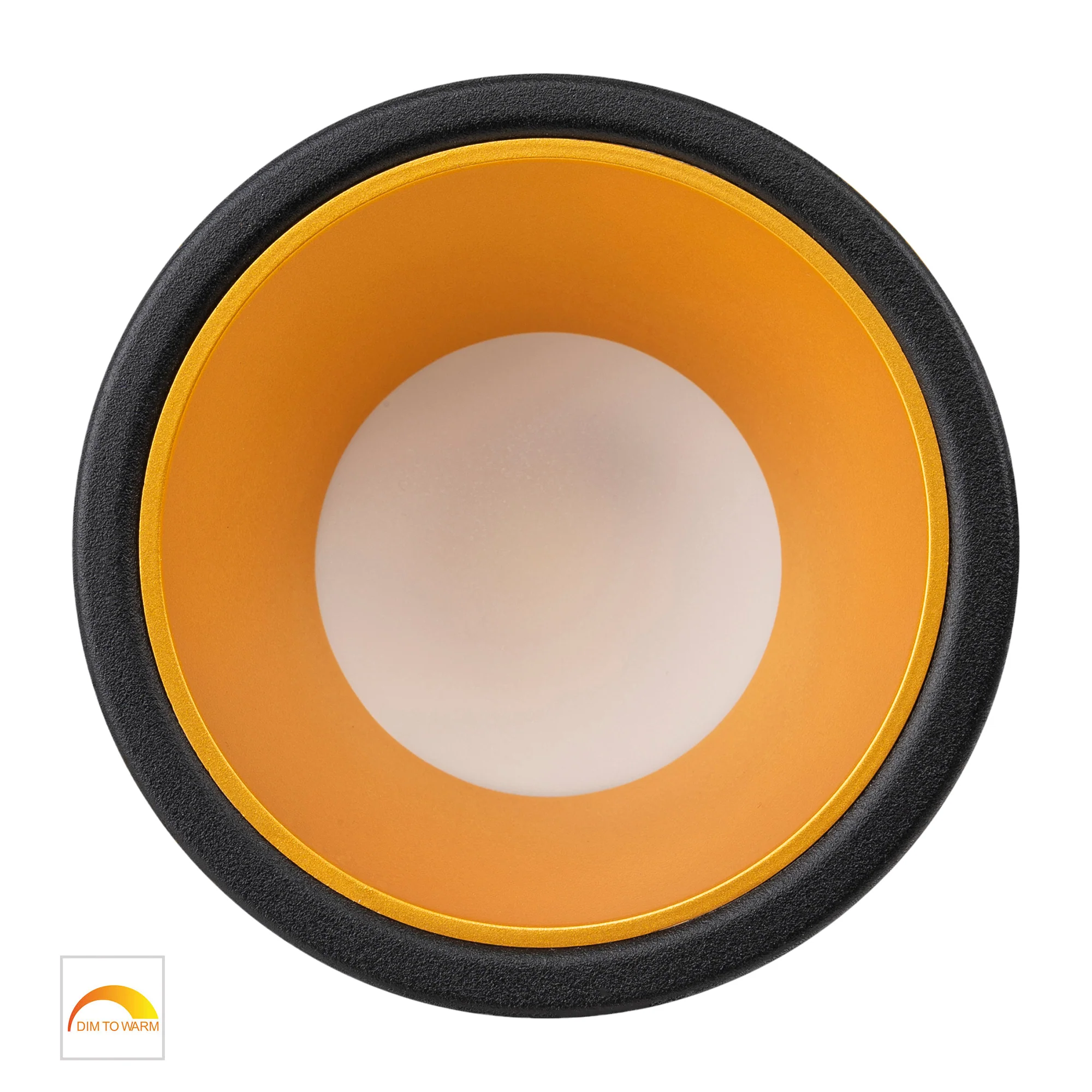 HV5529D2W-BG - Gleam Black with Gold Insert Fixed Dim to Warm LED Downlight - Image 4