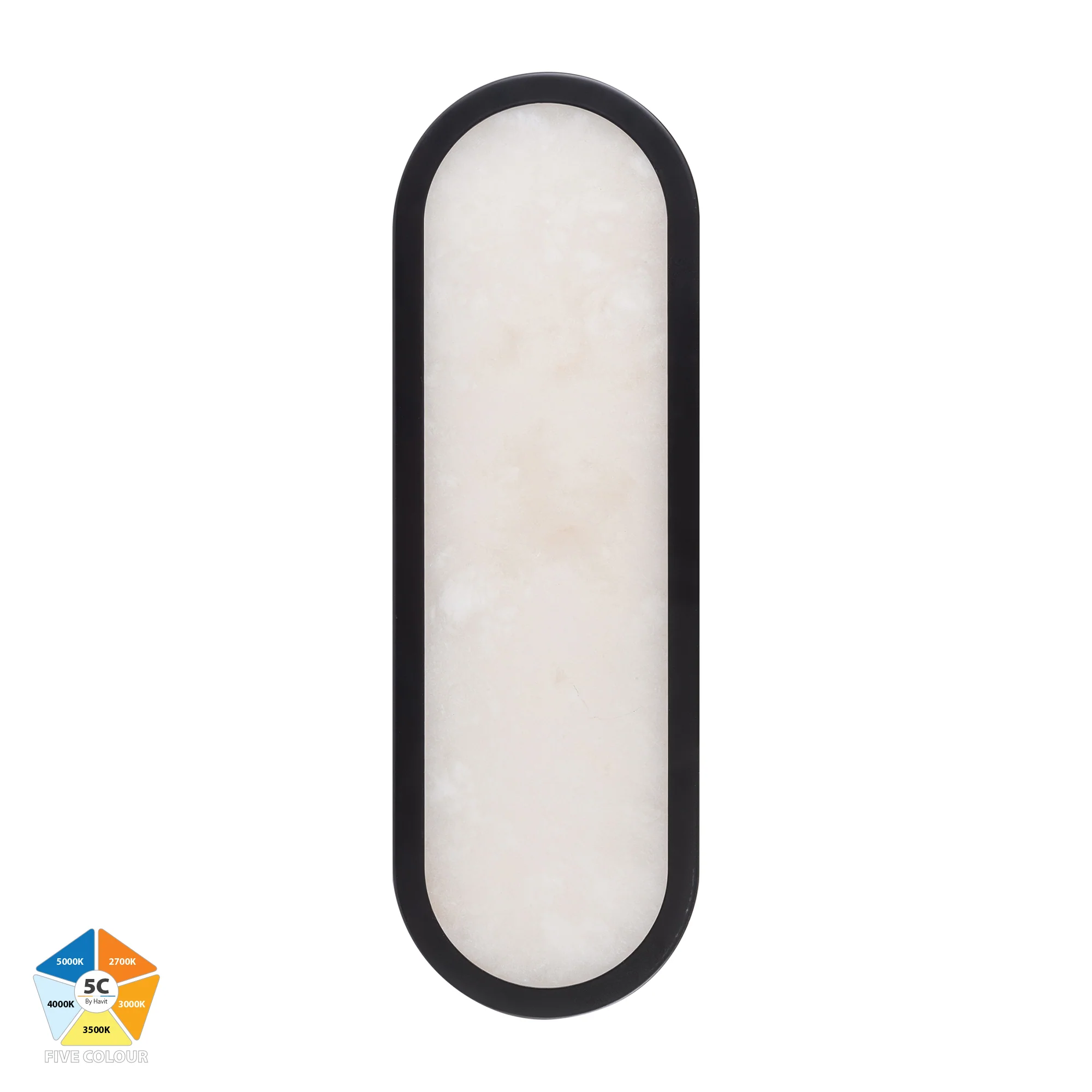 HV8011S-BLKALB - Auster Black with Alabaster Glass Wall Light