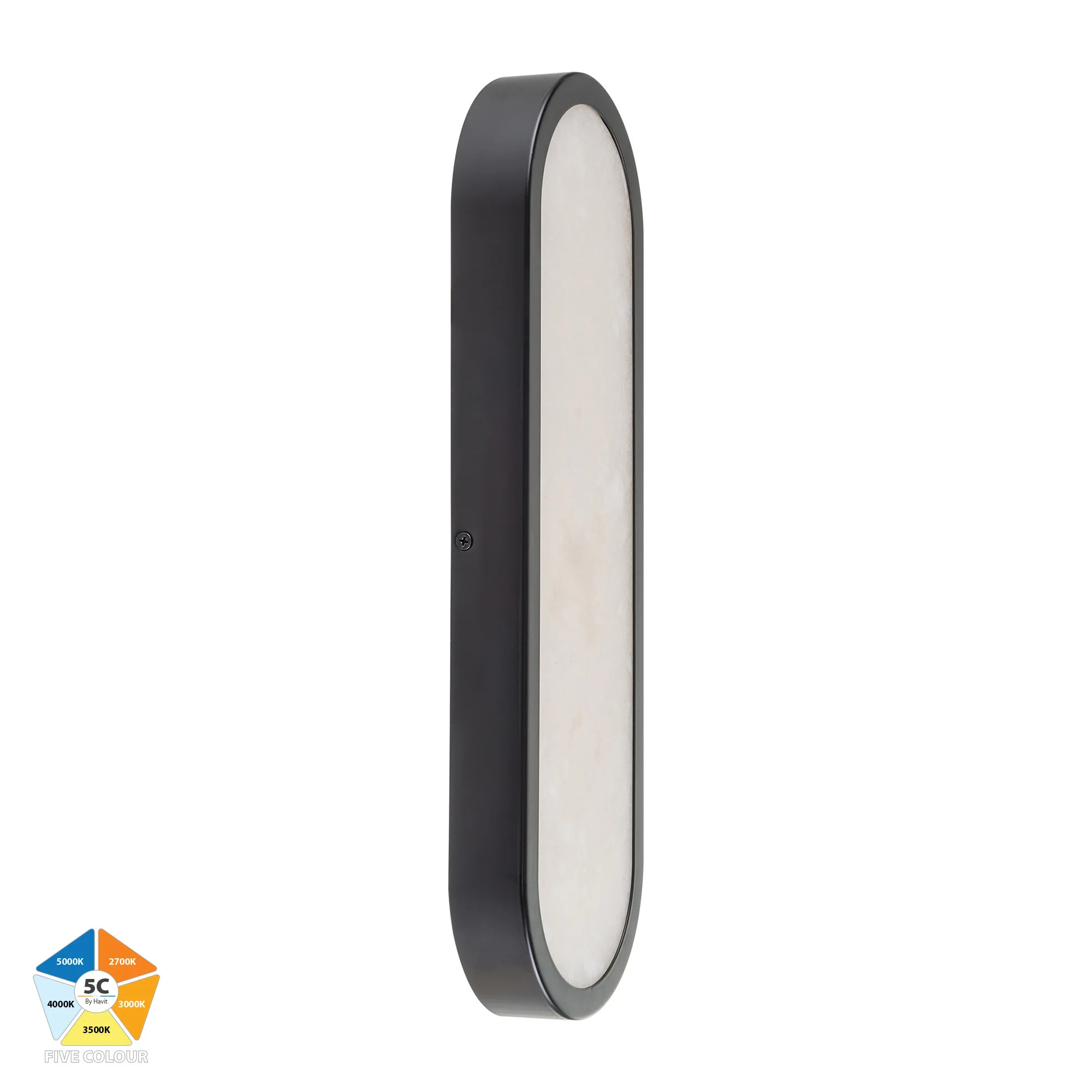 HV8011S-BLKALB - Auster Black with Alabaster Glass Wall Light - Image 3
