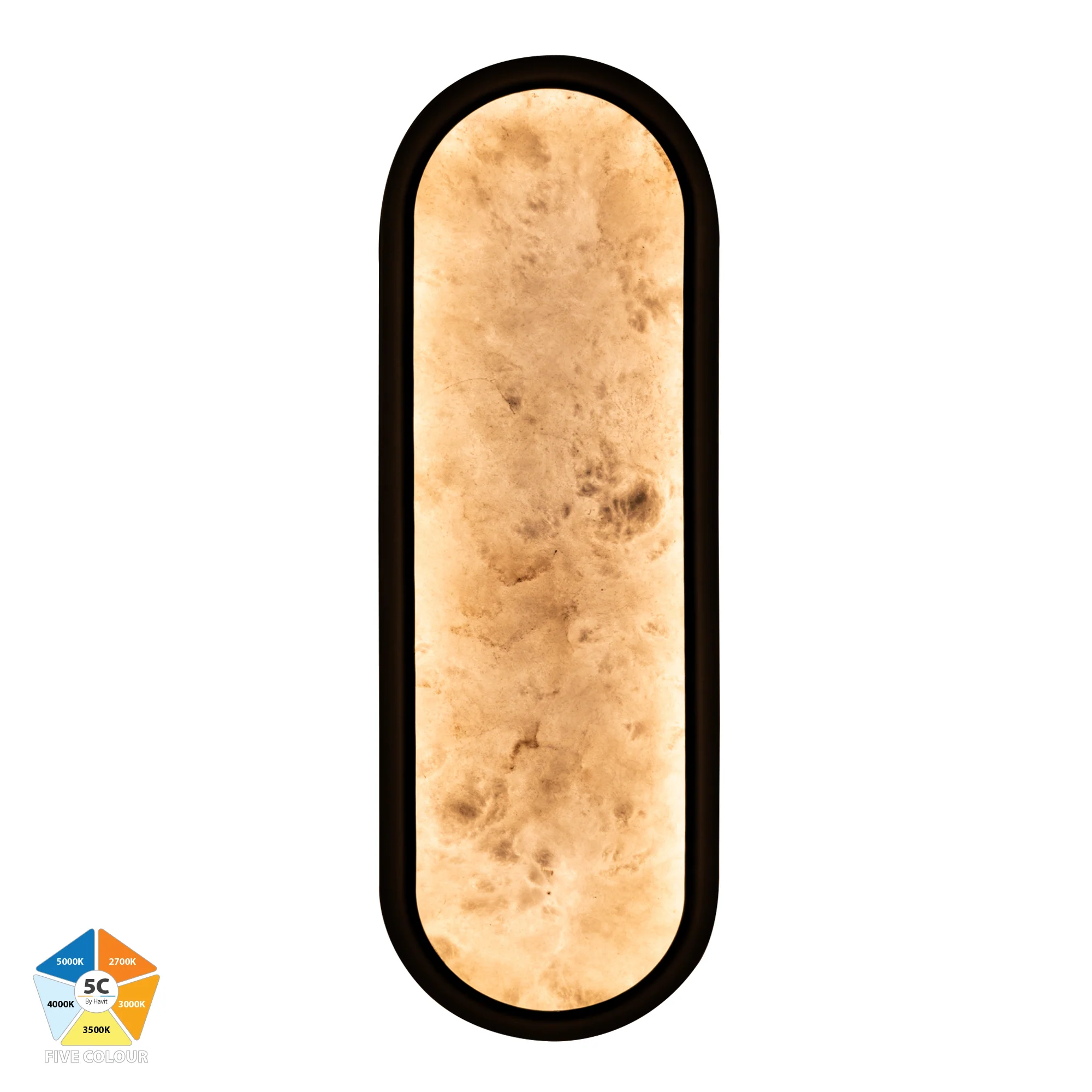 HV8011S-BLKALB - Auster Black with Alabaster Glass Wall Light - Image 4