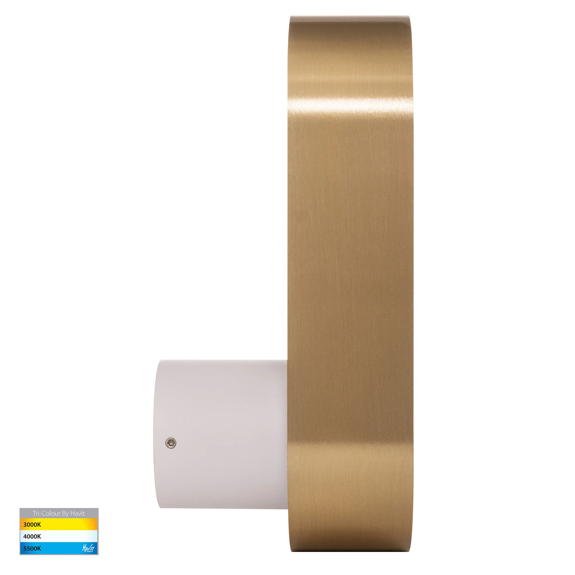 HV8080T-WHTBR - Ovale White + Brass Wall Light - Image 4